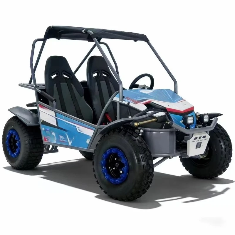 Hot Sale 4 Stroke 2-Seater Gas Go Kart 180CC Dune Buggy for Adult Amusement Park Outdoor Adventure UTV Off-Road Beach Buggy