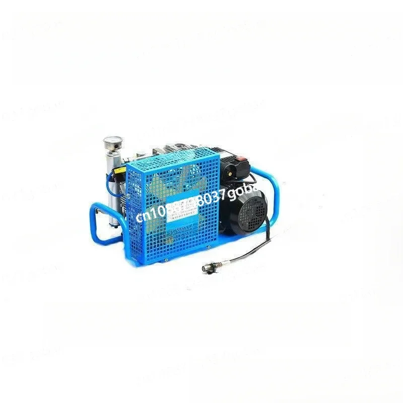 Portable High PressureGas Cylinder Compressor Filling Air Pump Fire Breathing 20-30Mpa