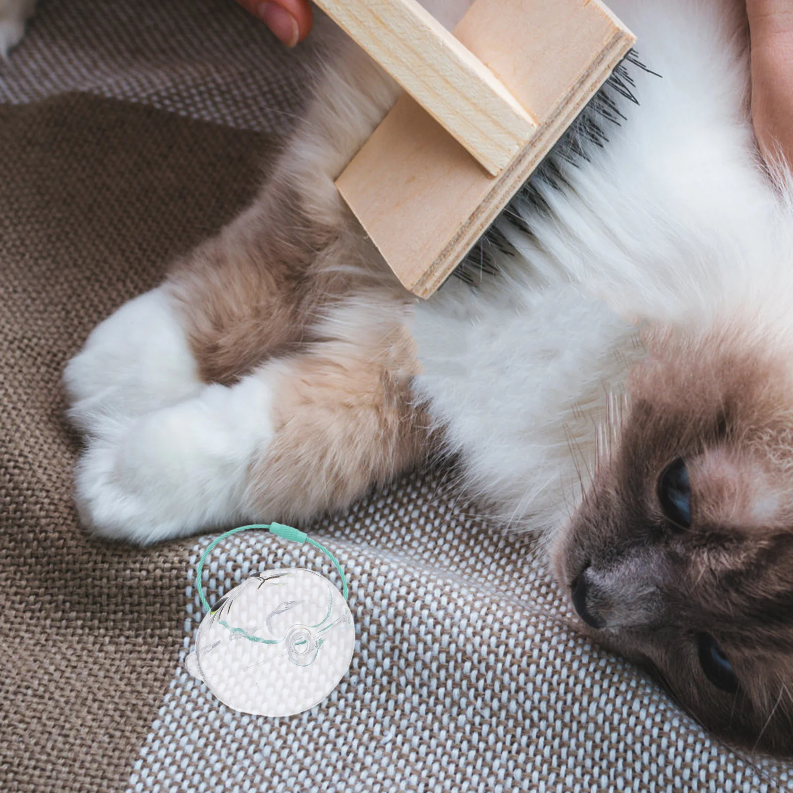 

2pcs Cat Storage Box Transparent Hair Keeper Keychain With Tweezers Pet Memorial Keepsake Pendant Cat Keepsake Holder For Pet