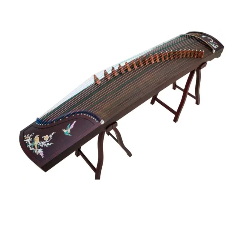 Guzheng Beginner Entrance Examination Professional Performce Guzheng Piano