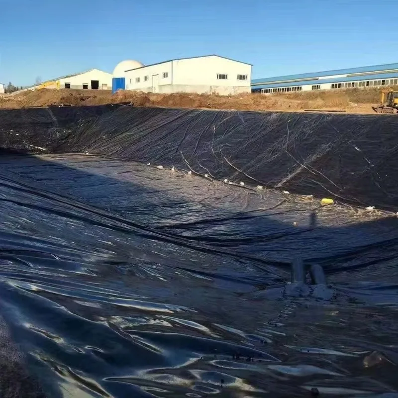 Customized HDPE Geomembrane Waterproof Liner for Biogas Pond Reservoir Landfill Mining and Civil Engineering Projects
