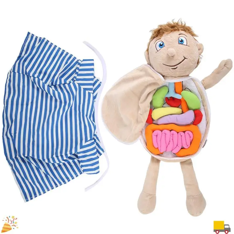 

Kids Assembled Plush Body Organs Toy Human Body Anatomy Plush Doll Science Teaching Aids Tool Educational Toys