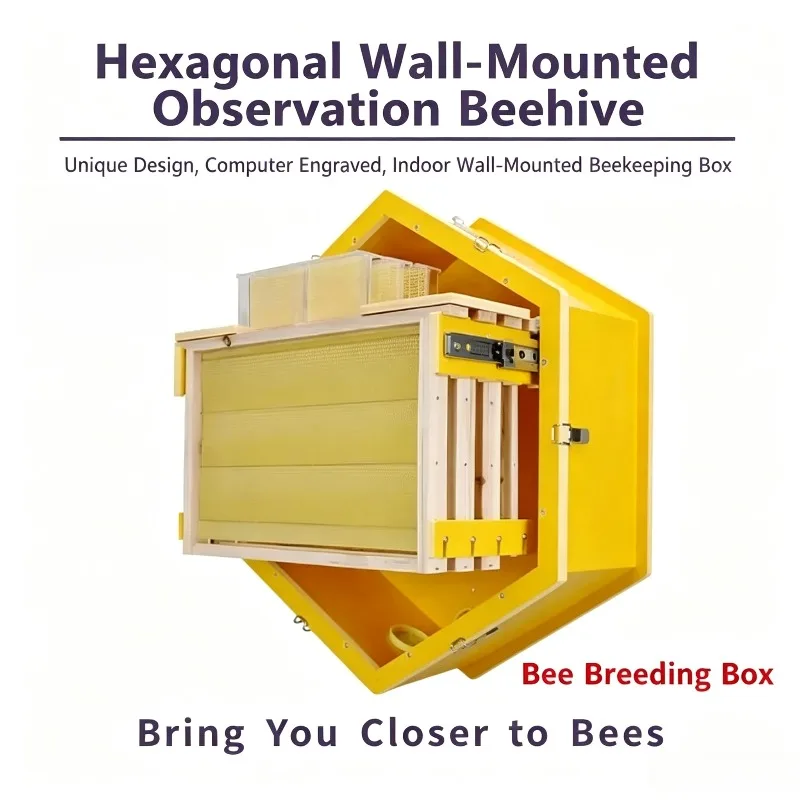 Wall Hanging Indoor Beehive Box Multi Comb Bee Breeding Hive Portable Professional Beekeeping Equipment For Household