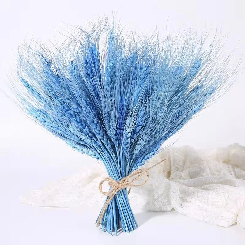 50pcs Wheat Ear Natural Dried Flowers Bouquet For Home Decor Table Wedding Decoration DIY Preserved Christmas Ornaments On Offer