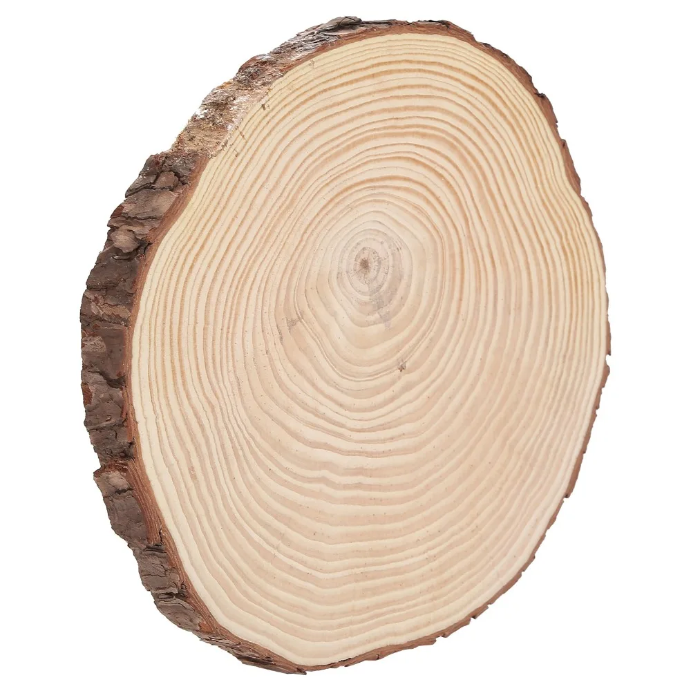 1pcs Rustic Irregular Shape Wood Slices Unfinished Surface Weather-Resistant Wood Circles Log Slices Home Craft Project