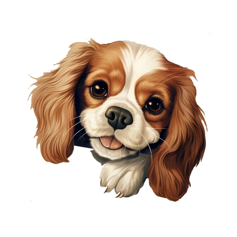 DK113# Cavalier King Charles Spaniel Car Stickers Scratch Covering Self-Adhesive Waterproof Decal Motorcycle Decorative Accessor
