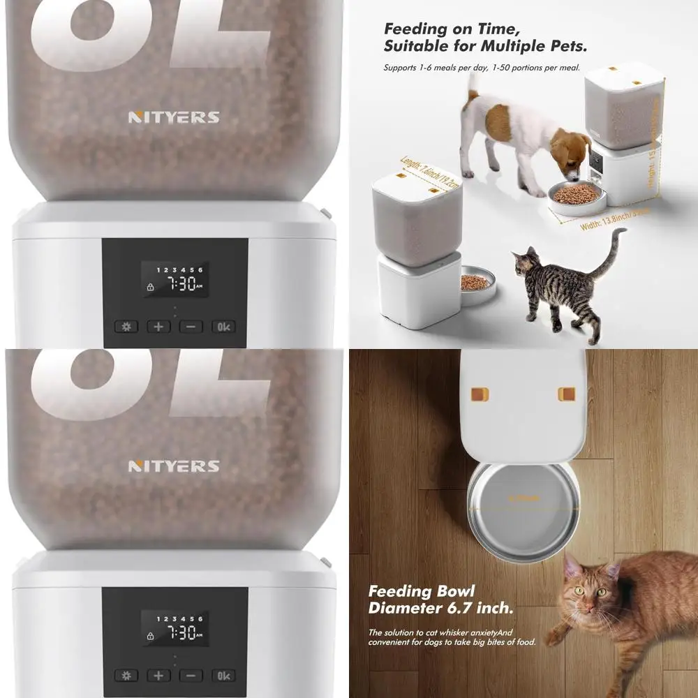 6-Meal Daily Automa… - image