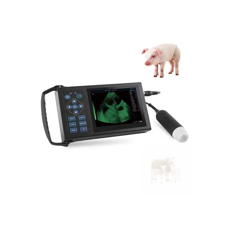 

Small animal use ultrasonic pet black and white ultra direct sales