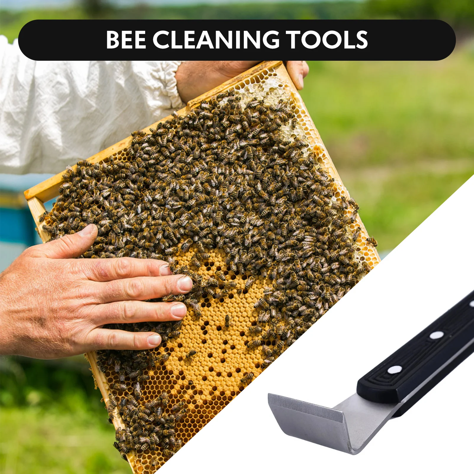 Stainless Steel Beekeeping Cleaning Knife Half Bending Scraper Bee Frame Lifter Scraper Beekeeping Beehive Scraping Tools