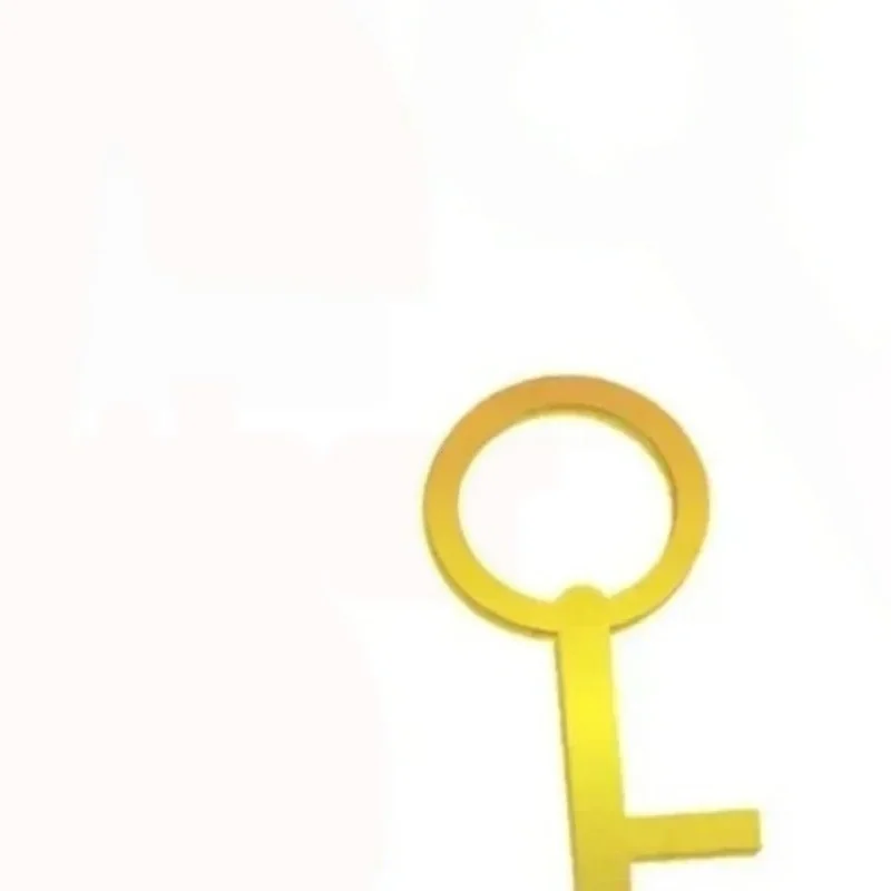 Only Used for Price Adjustment (shipping Cost Adjustment, Product Adjustment)