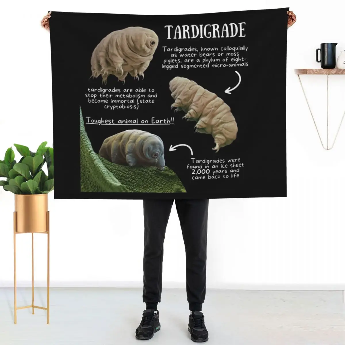 

Tardigrade Fun Facts Throw Blanket Fade Resistant Durable Throw Blanket