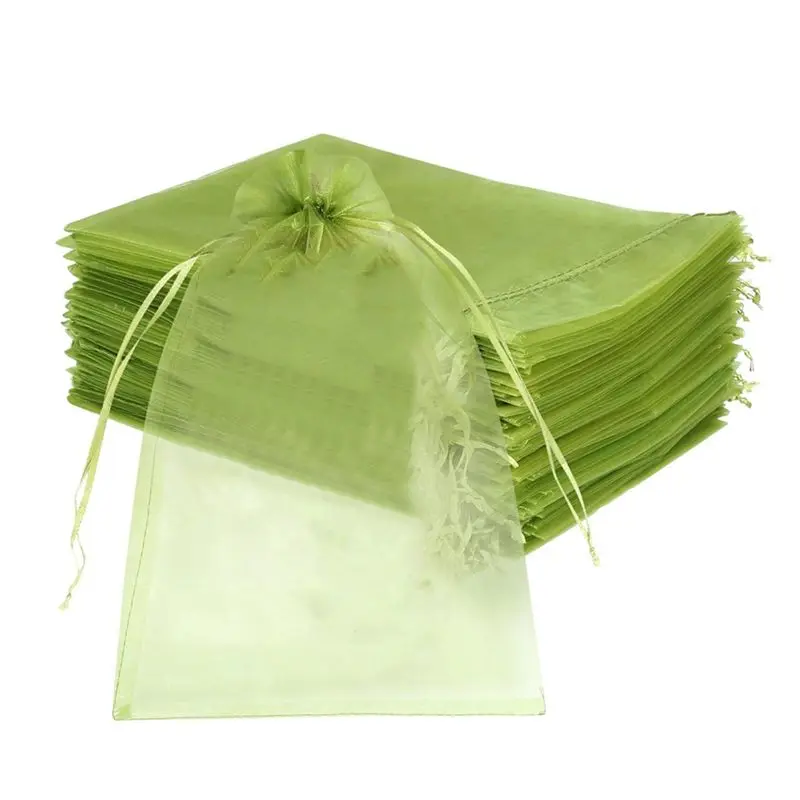 PZHI 100Pcs Fruit Protection Bags 8x12 Inches Green Mesh Drawstring Bag for Fruit Vegetable Garden Easy to Use