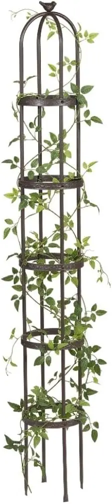 

Evergreen 7 Feet Garden Metal Garden Obelisk Trellis for Climbing Plants Outdoor | Indoor Plant Trellis for Potted Plants | Flor