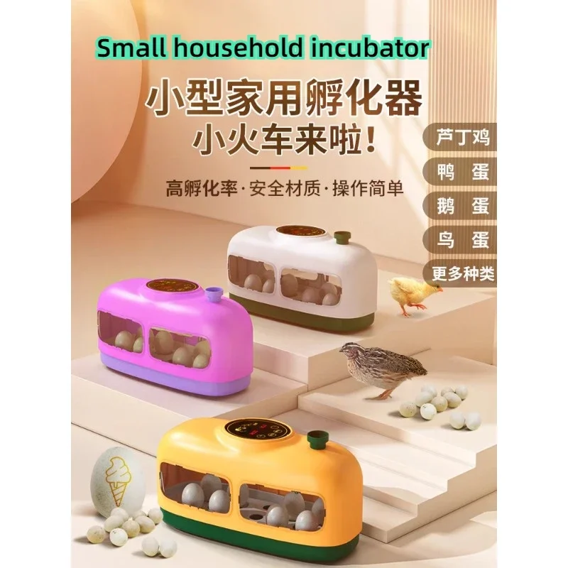 Small household automatic intelligent egg incubator rutin chicken