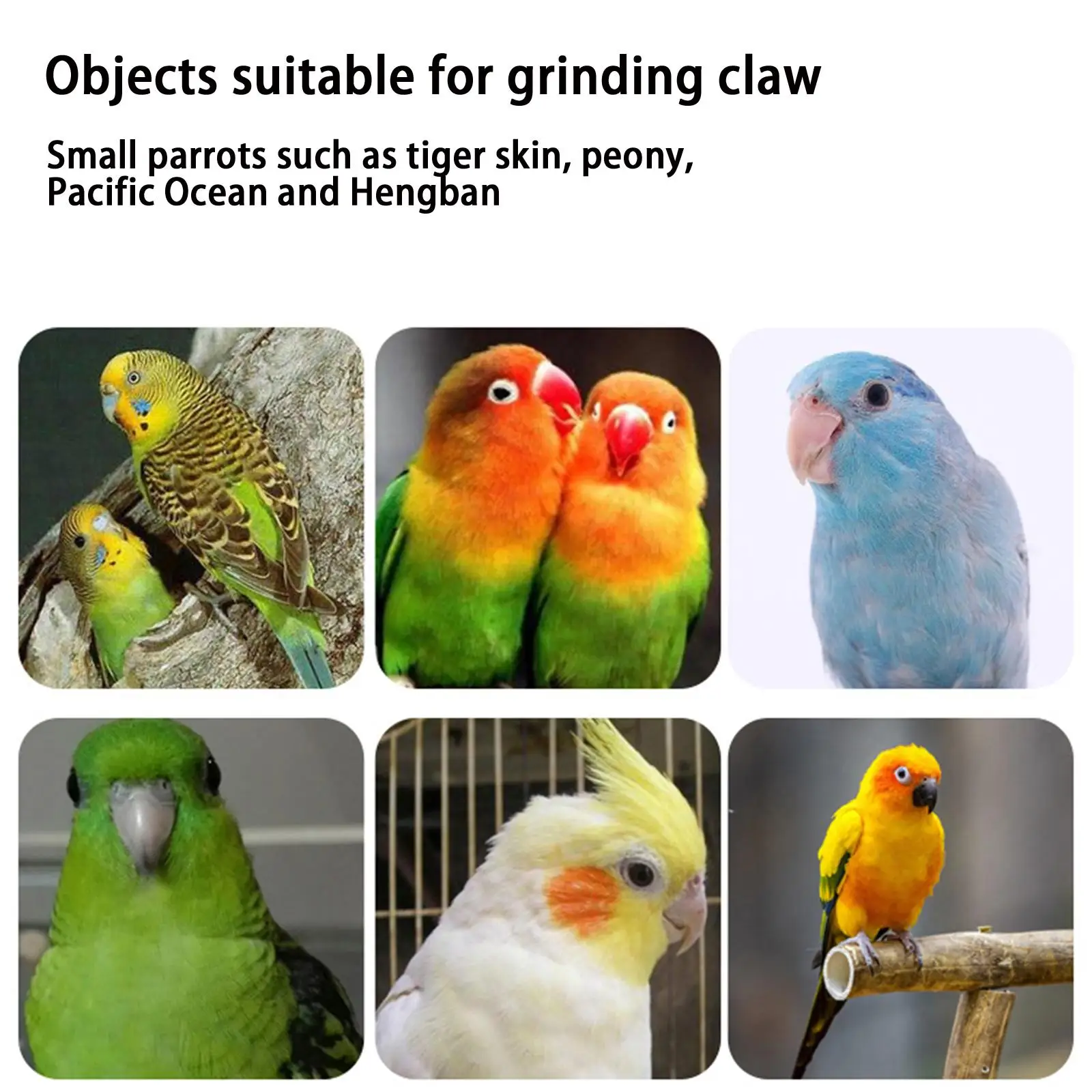 New High-end 1pc Bird Perch Stand Wooden Rough Birds Paw Grinding Perch Standing Parrot Toy Pet Supplies Random Color Tool