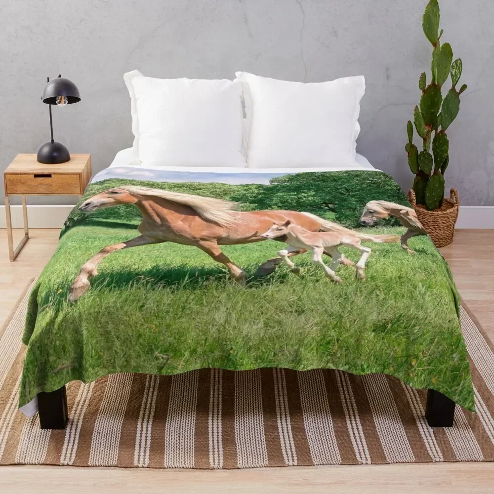 

Haflinger horses run together Throw Blanket Versatile Cozy Throw Blanket for All Occasions