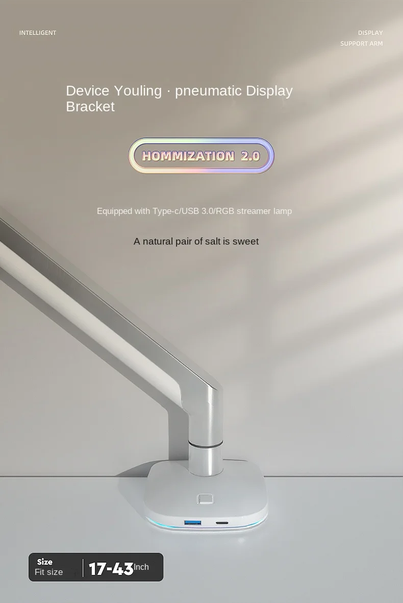 Applicable to Youpai 29/31.5/34 Inch Hairtail Screen Lifting Telescopic Rotating Display Bracket