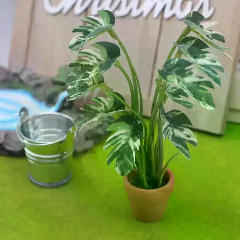 Bonsai Garden Europe - Miniatura de Planta Verde Monstera em