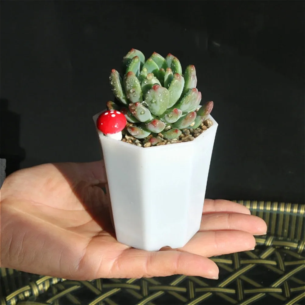 20Pcs Simple Versatile Octagonal Pot Succulent Plant Pot Imitation Ceramic Small Flower Pot for Living Room Balcony (White)