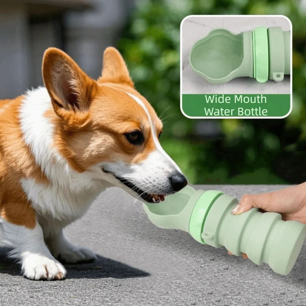 

Silicone Collapsible Dog Water Bottle Leak-proof Large Capacity Cat Water Bottle Detachable Food Grade Pet Water Dispenser