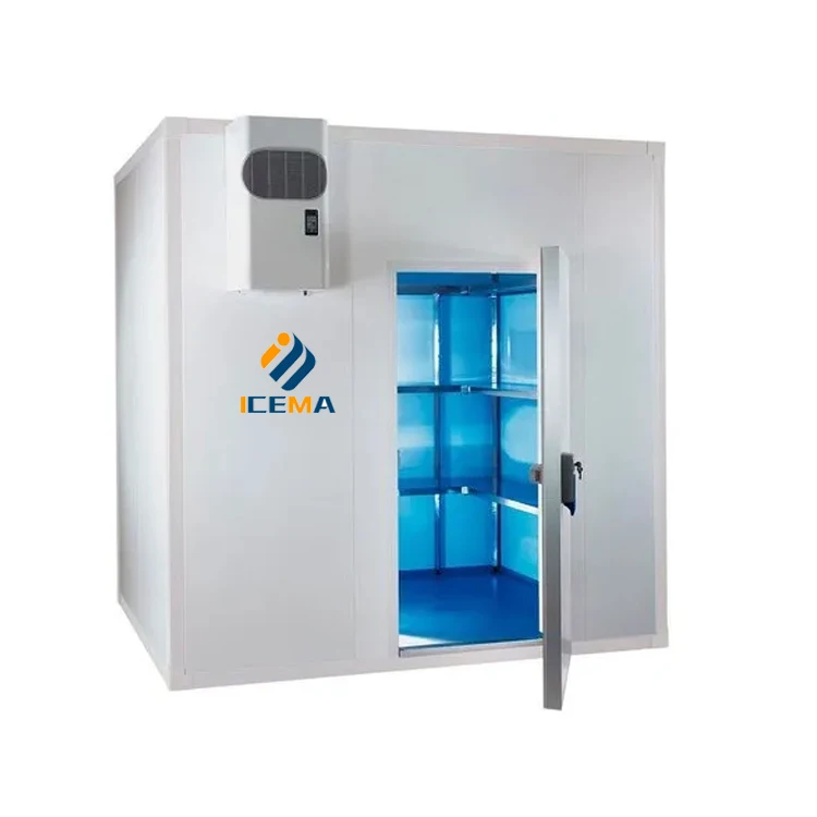 

Cold Storage Cold Room Cooling System Set for Keep Fresh Fruits /vegetables /fish/transportation