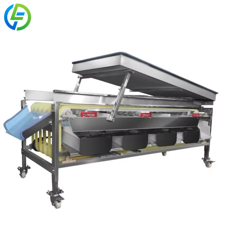 Customized Dry Fruit Sorting Machine Calibrate Machine Fruit Sorting Fruit Sorting Grading Machine