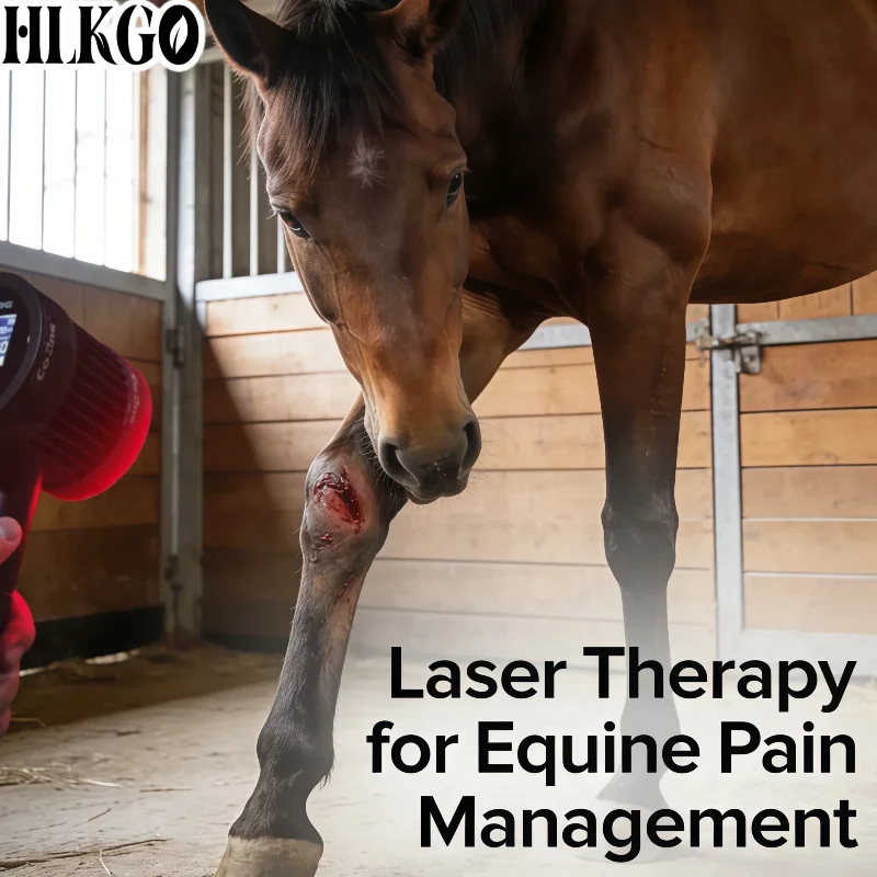2026 New Upgrade 5W 650nm 808nm Class 4 Laser, Handheld Medical Device for Dogs Arthritis Pain Post-Surgical Recovery Best Care