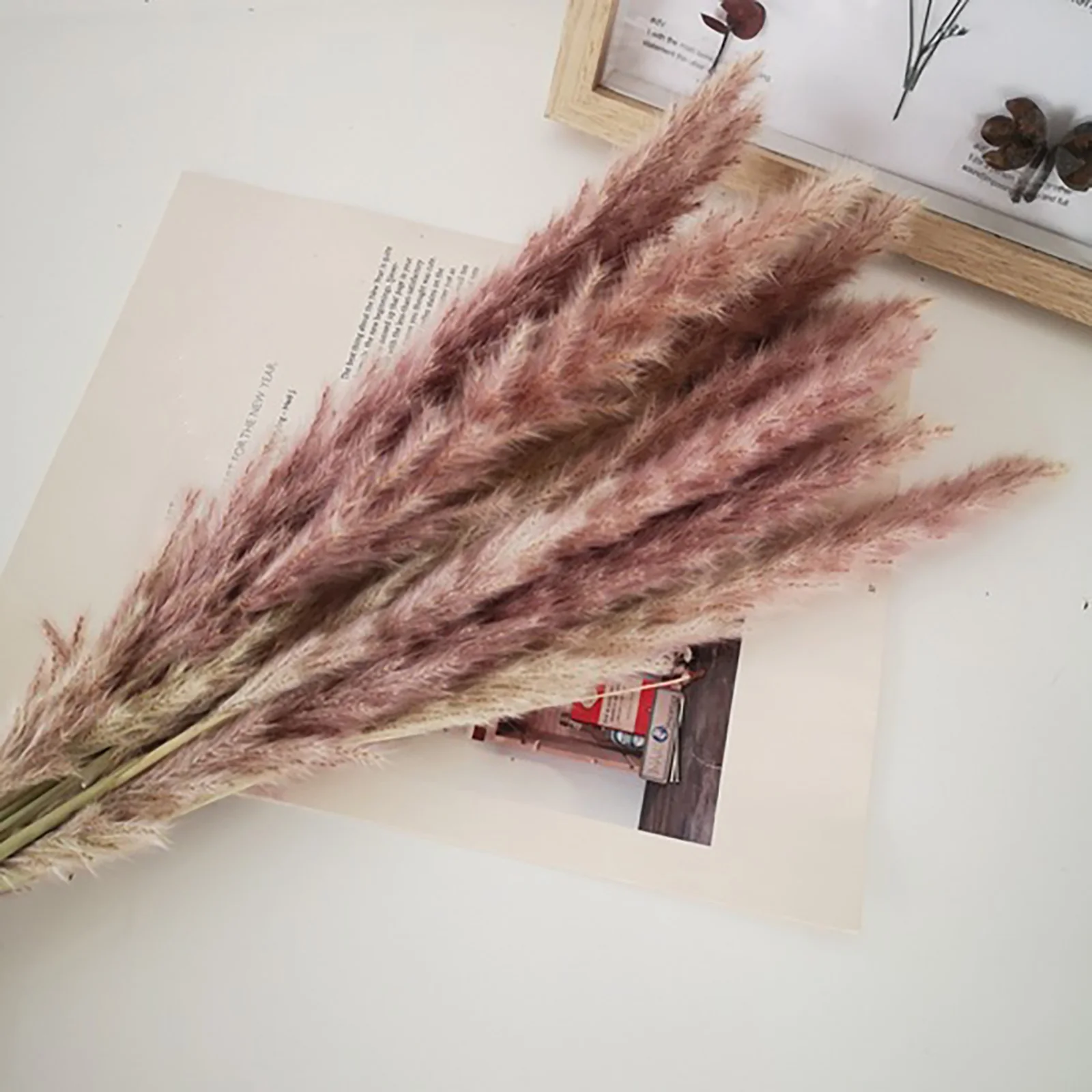 Kunstbloem Pampas Gras Gedroogde Planten Natuurlijke Huisdecoratie Huishouden Kruidenboeket Voor Bruiloft Net Rood Klein Riet