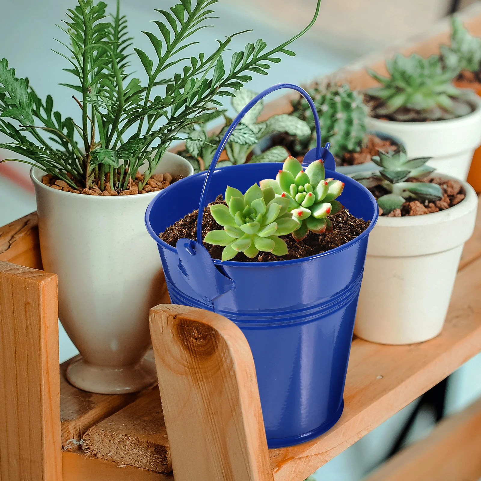 

4pcs Iron Buckets Iron Flower Bucket With Handle For Home Decor Planting Metal Succulent Pot Party Favor Tin Bucket