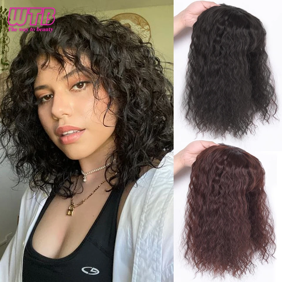 

WTB Synthetic Curly Hair Wig Top Toupee Clip In Hair Extensions Replacement Closure Hairpiece Cover the White Hair Hairpiece