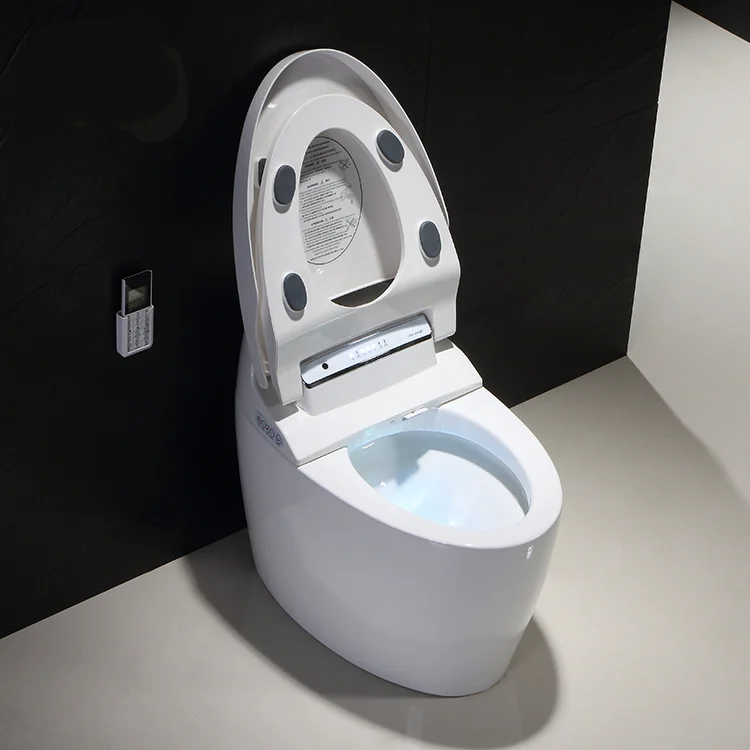 

Guangzhou Wholesale Auto Flush Clean Function One Piece Commode S-trap Ceramic Smart Wc Toilet