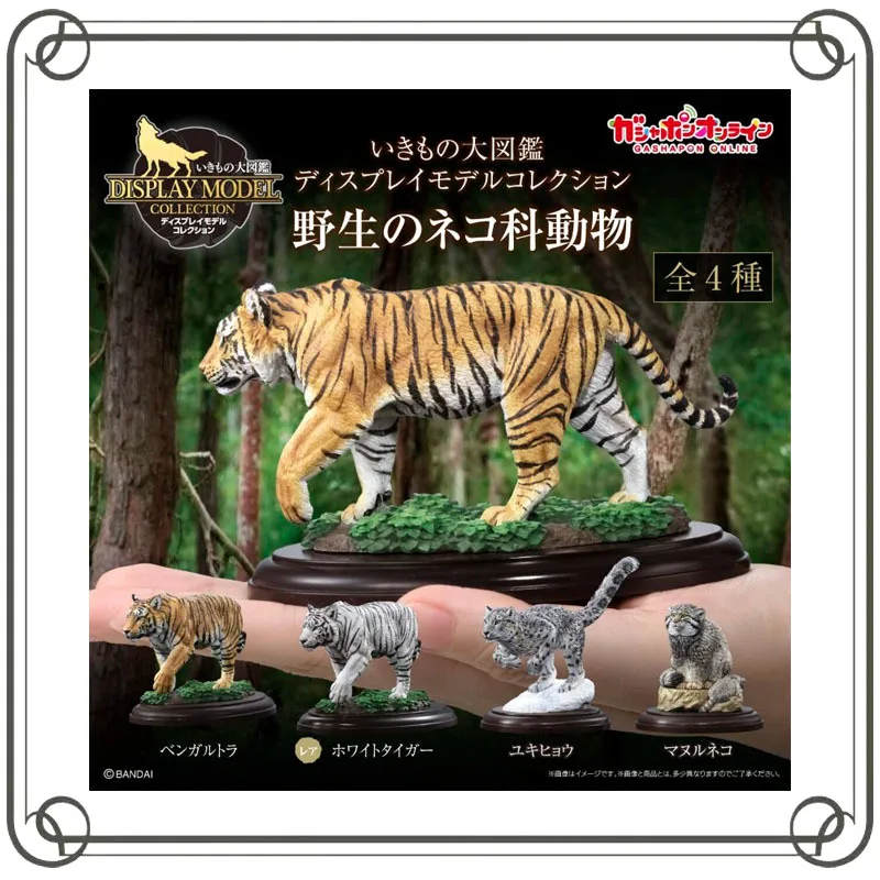 BANDAI Biblioteca de Biología, Simulación de Animales Felinos Salvajes, Tigre, Leopardo de las Nieves, Adorno Gashapon