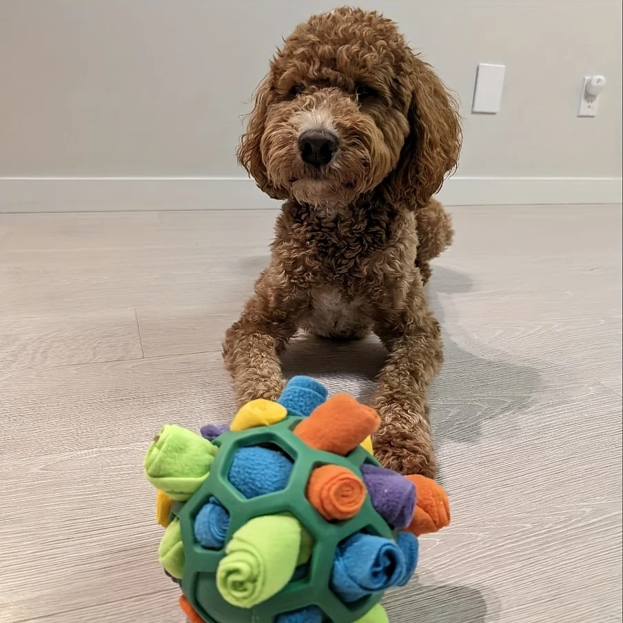 Thumbnail 3 - #71 Top Puppy Puzzle Toys Picks for Every Budget