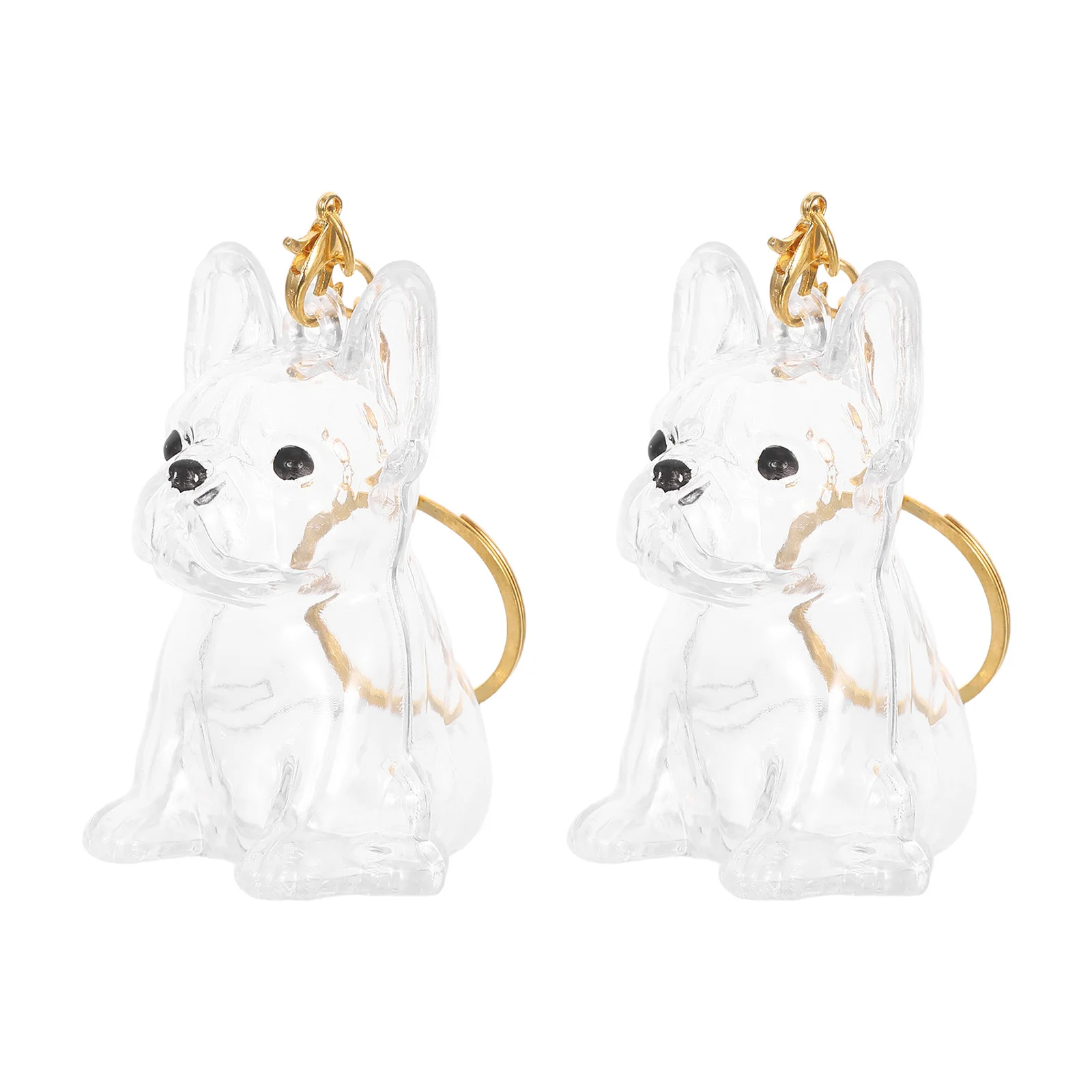 

2pcs Dog Storage Box Keychain Transparent Hair Keepsake Pendant Mini Urn For Pet Memorial Locket Charm Capsule Travel-Friendly