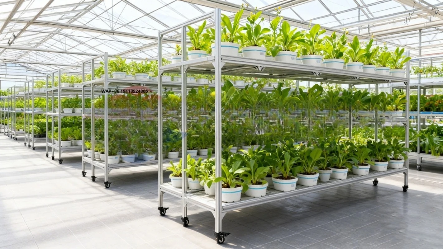 Mobile multi-layer hydroponic frame for vegetable cultivation in greenhouse