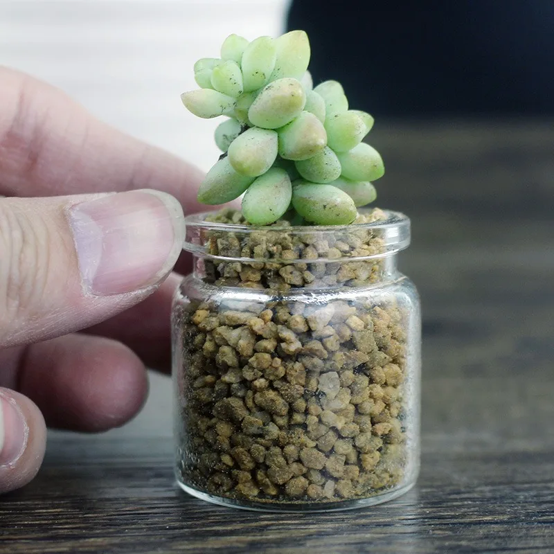 1Pc Small Glass Bottles With Cork Stoppers DIY Plant Decoration Mini Glass Vials Cork Message Glass Vial Wishing Bottles 50ml