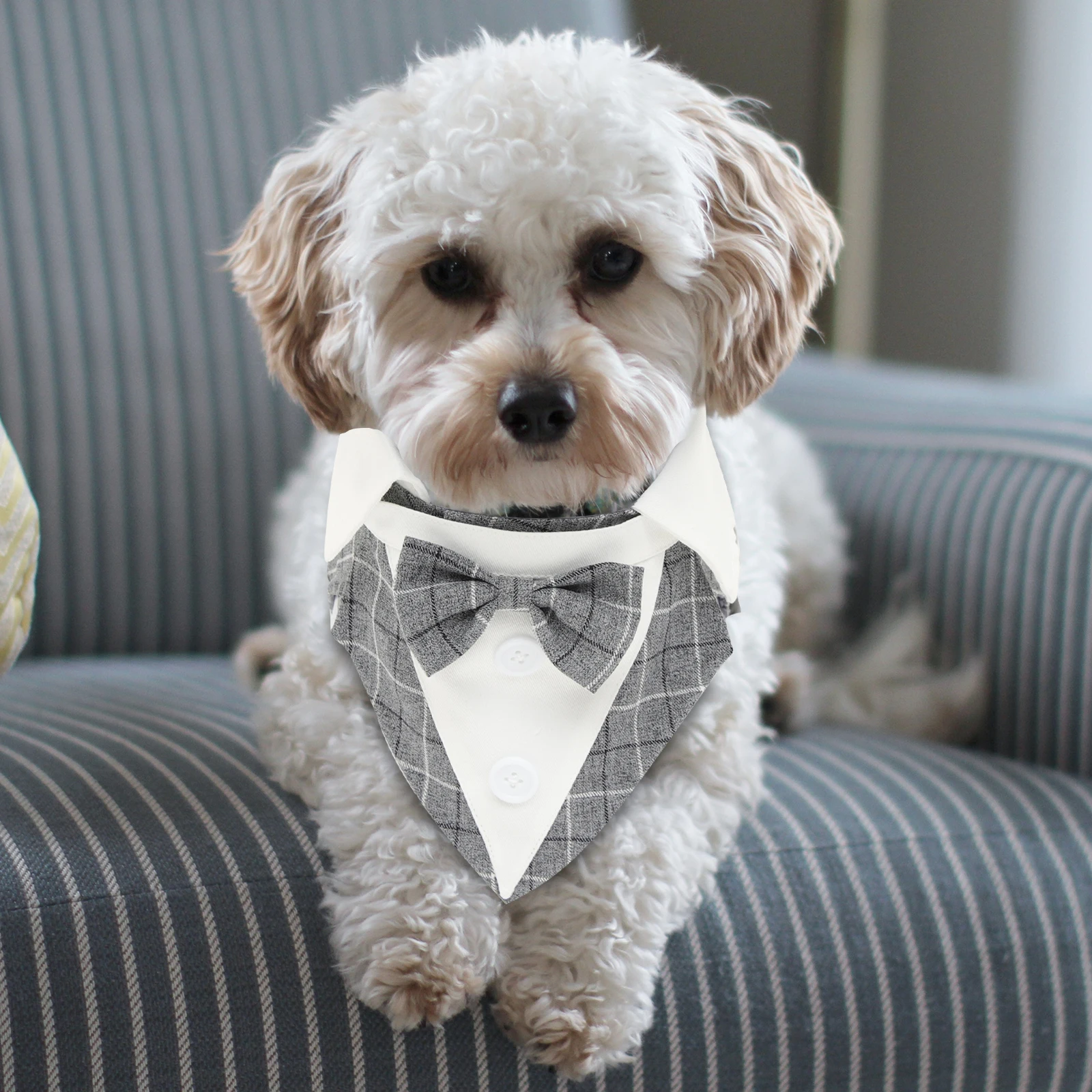 

Pet Dog Formal Tuxedo Black Bow Tie Wedding Suit Lightweight Comfortable Decorative Dog Clothes Pet Clothes