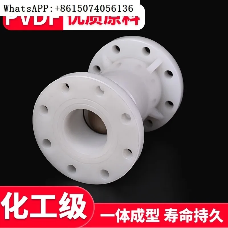 PVDF flange vertical check valve chemical valve water pipe ball type one-way  check switch DN100