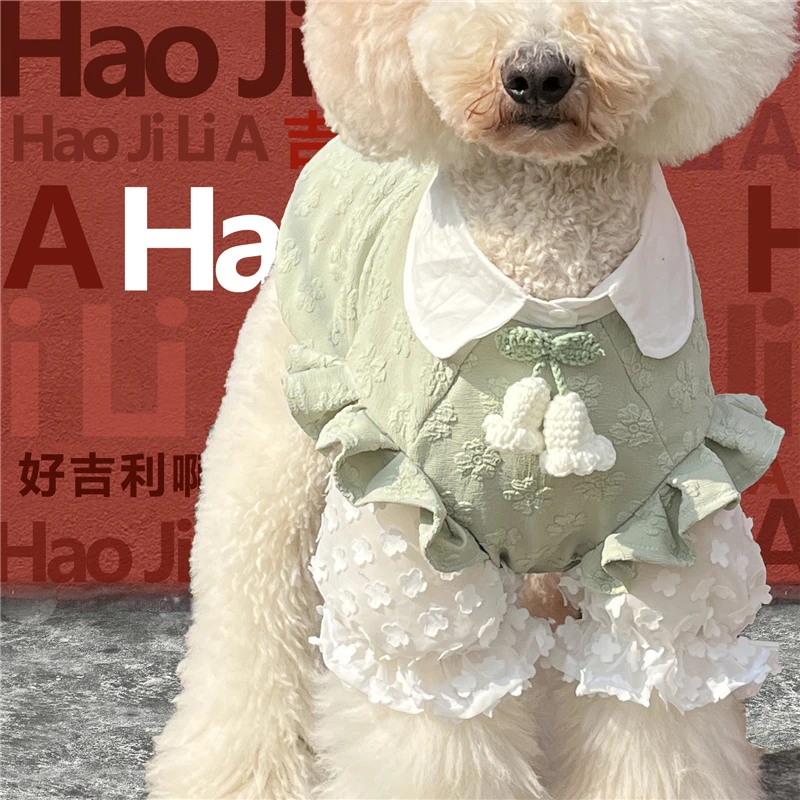 Pets Giant Dogs Clothes Fashion New Arrivals For Poodle