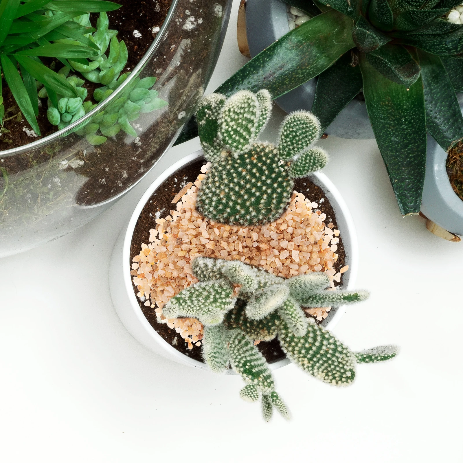 

1 Bag Succulent Rocks Pebbles Crystal Sand Gravel for Planters Bonsai Decorative Stones Floral Arrangements
