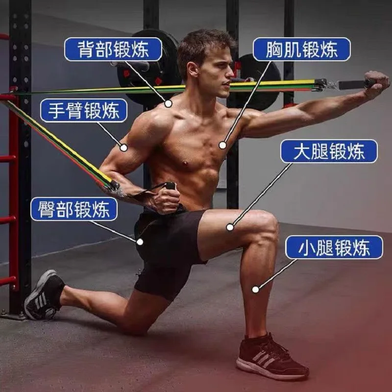 Adjustable Chest Expander Strength Training Elastic Strap Multifunctional Tensioner Portable Home Fitness Workout Equipment