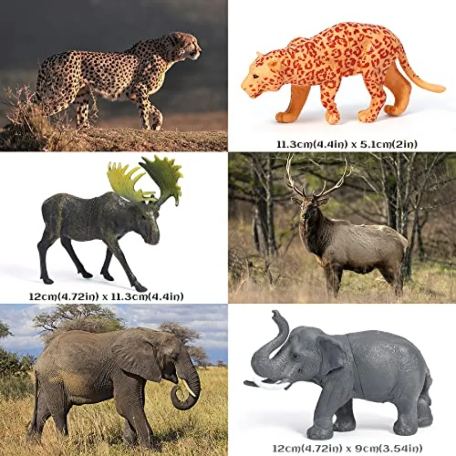 description