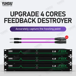 Professional Feedback Suppressor 2 in 2 Out Performance Stage Conference Automatic Anti-Howling KTV Microphone Frequency Shifter