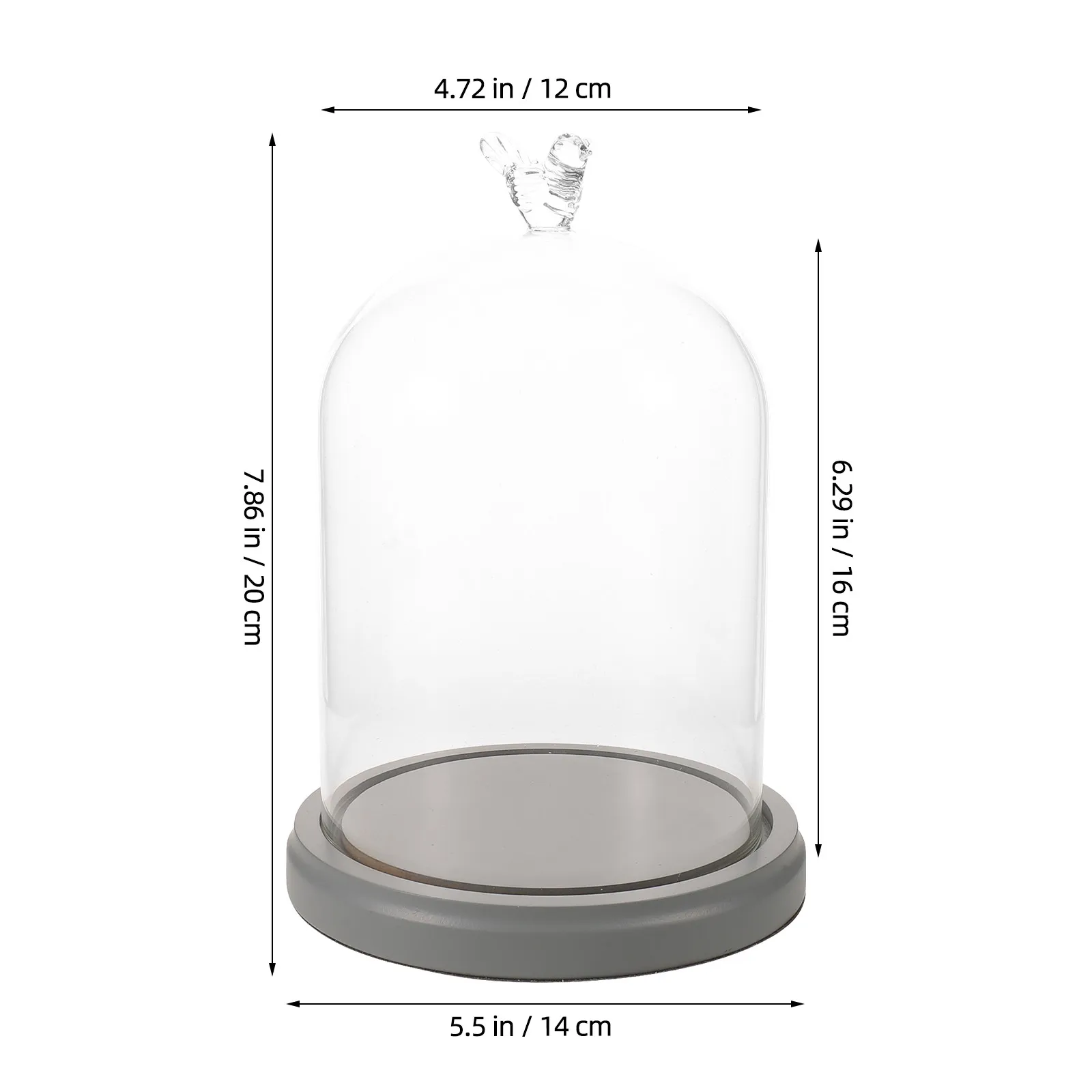 Glass Dome Cloche with Solid Wood Base for Floral Preservation Clear Display Case Wedding Event Decoration Jar Birthday Table