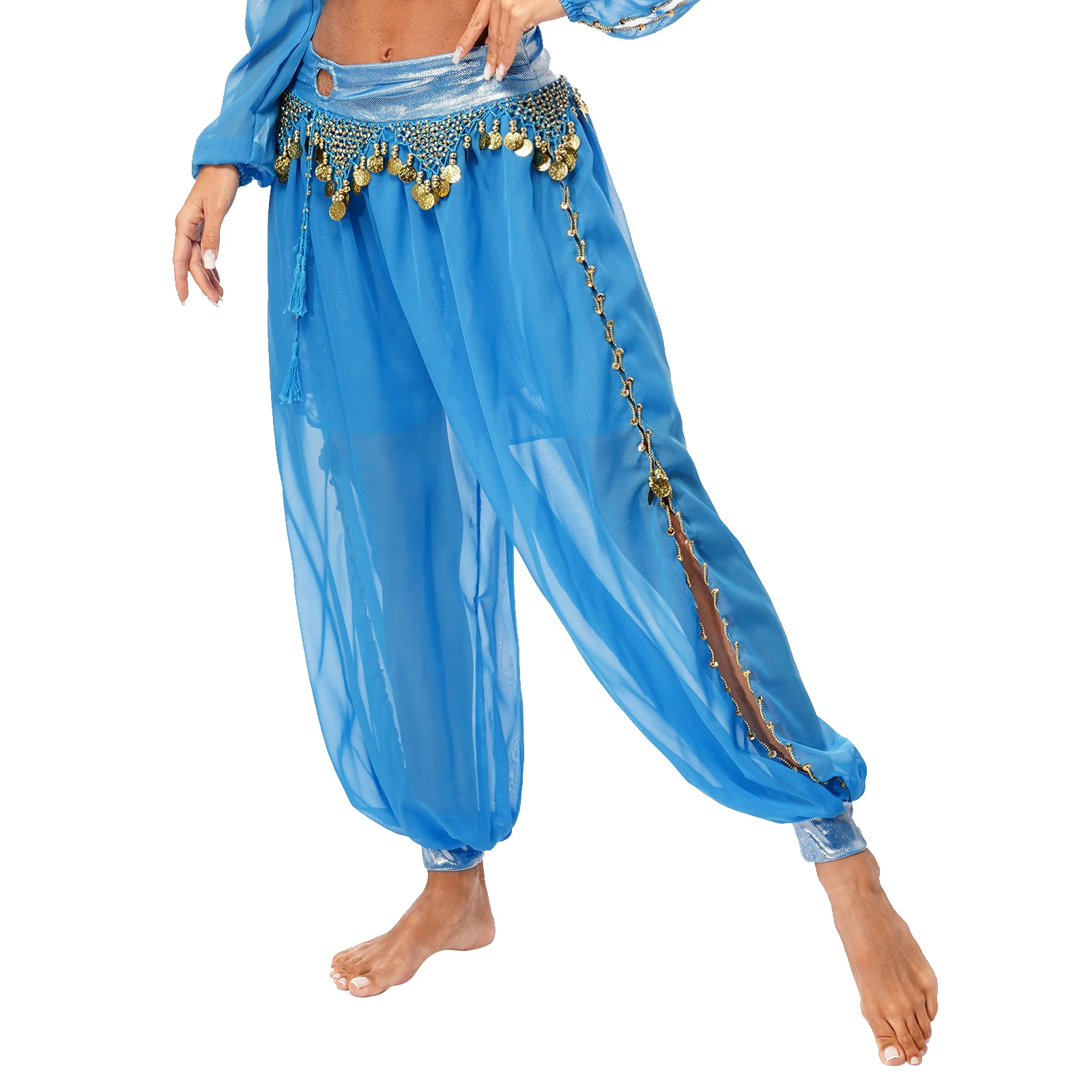 Womens Belly Dance Harem Pants Halloween Carnival Costume Sequin Tassel Trouser Tribal Arabic Dance Performance Loose Pants