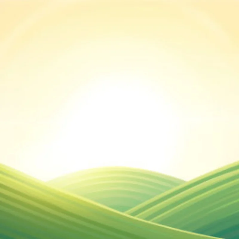 1set 4CH 40MHZ Remote Transmitter & Receiver Board with Antenna For DIY RC Car Robot Remote Control Toy Parts