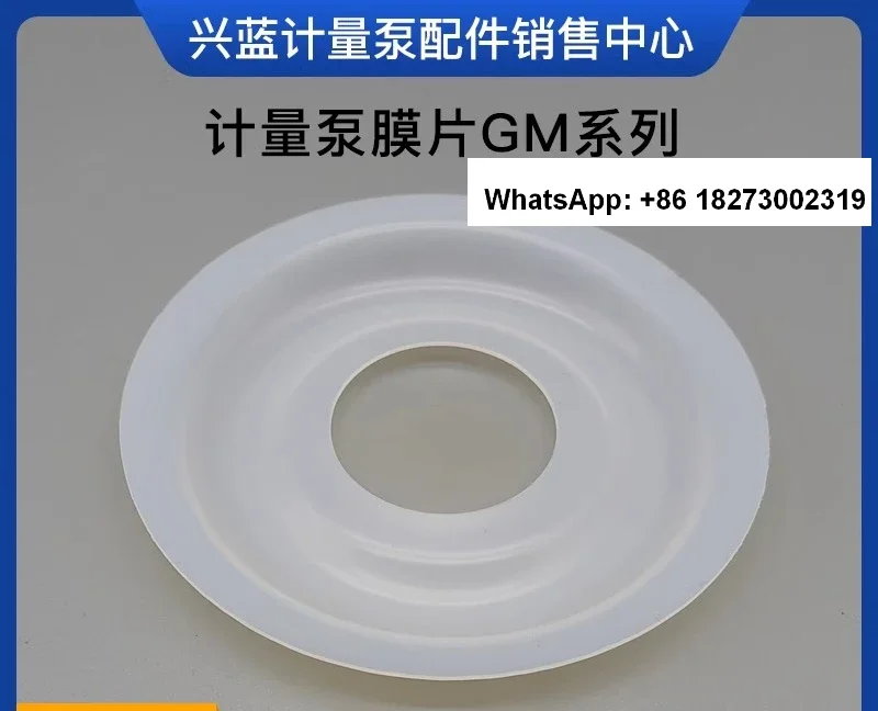 Measurement pump diaphragm assembly GM pump head DN15 inlet and outlet check valve accessories oil seal PTFE