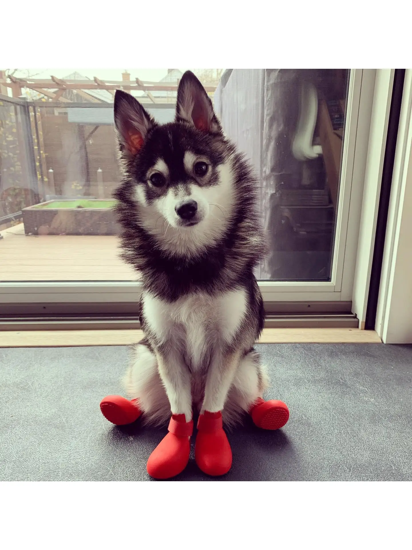 

Silicone Dog oes Anti-Loss Pet Boots Winter Teddy Small And Large Dogs Foot Cover Cute Waterproof And Dir Proof