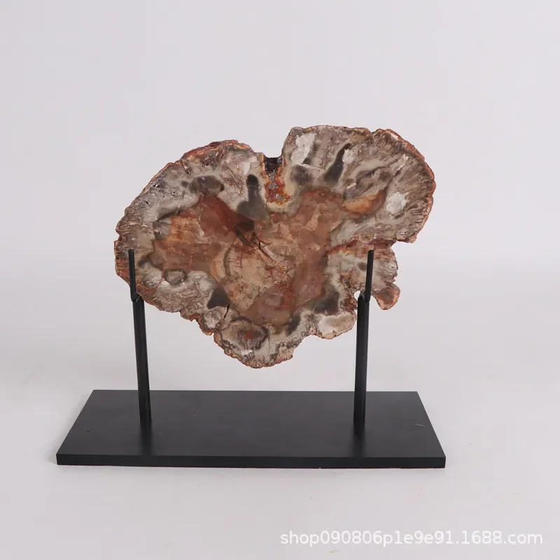 New Chinese Style Wabi Sand Wind Fossil Wood Ornament for Home Office Study Desktop Soft Decoration Craft Model Room Display