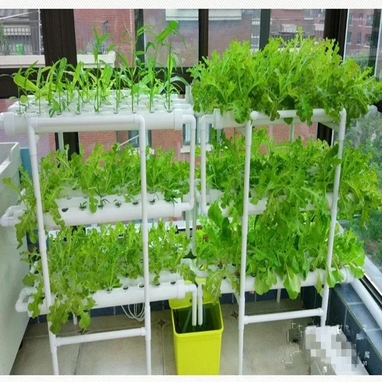 Small PVC NFT Hydroponic System for home garden Skyplant